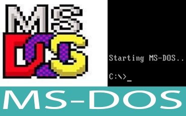 MS DOS